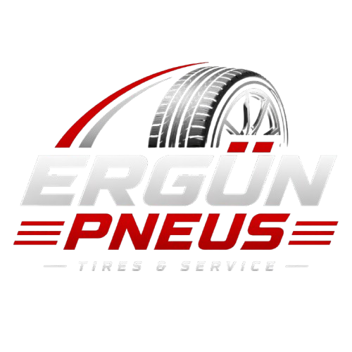 ergunpneus